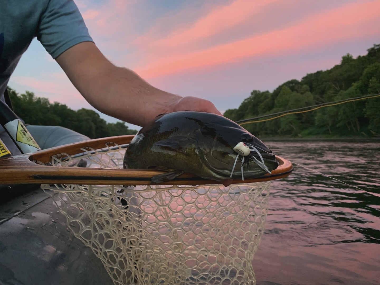 Smallmouth bass at sundown